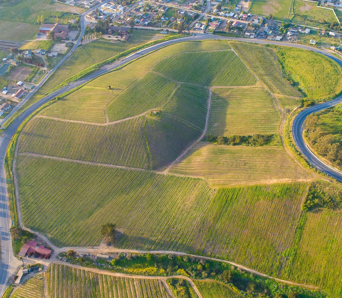 Coastal vineyards at Casa Marín